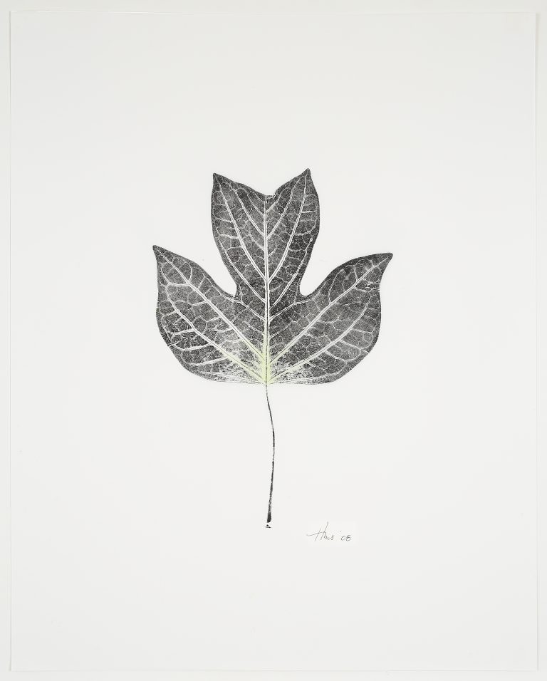 Heather Sandifer, "Tulip Leaf, Cat. 58," mixed media on vellum paper
