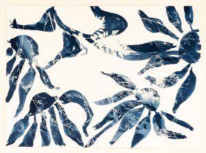 Emily Hamilton Laux, "Summer Field: Flying Echinacea II," cyanotype on archival paper