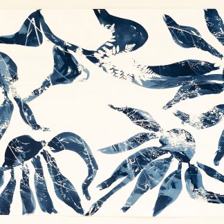 Emily Hamilton Laux, "Summer Field: Flying Echinacea II," cyanotype on archival paper