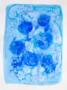 Bastienne Schmidt, "Blue Flower Typology 1," pigment, polymer paint on arches paper