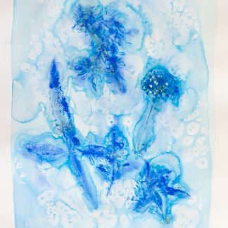 Bastienne Schmidt, "Blue Flower Typology 2," pigment, polymer paint on arches paper