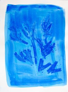 Bastienne Schmidt, "Blue Flower Typology 3," pigment, polymer paint on arches paper