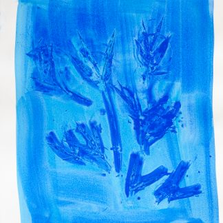 Bastienne Schmidt, "Blue Flower Typology 3," pigment, polymer paint on arches paper