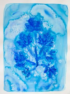 Bastienne Schmidt, "Blue Flower Typology 5," pigment, polymer paint on arches paper