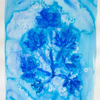 Bastienne Schmidt, "Blue Flower Typology 5," pigment, polymer paint on arches paper