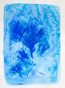 Bastienne Schmidt, "Blue Flower Typology 6," pigment, polymer paint on arches paper