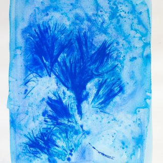 Bastienne Schmidt, "Blue Flower Typology 6," pigment, polymer paint on arches paper