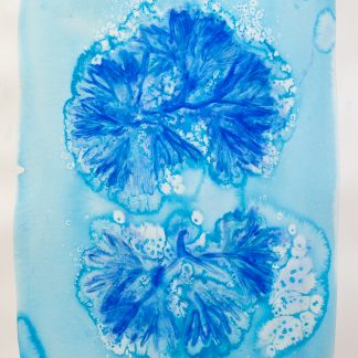 Bastienne Schmidt, "Blue Flower Typology 11," pigment, polymer paint on arches paper