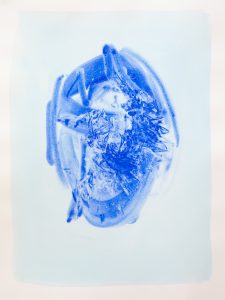 Bastienne Schmidt, "Blue Flower Typology 12," polymer paint on paper