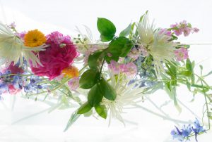 emily hamilton laux "Aqua Flora 2," digital photograph