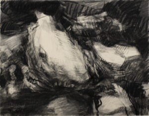 Dana Saulnier, "Drawing (12520)," charcoal
