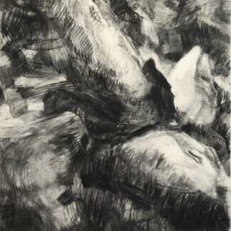 Dana Saulnier, "Drawing (21119)," charcoal on paper