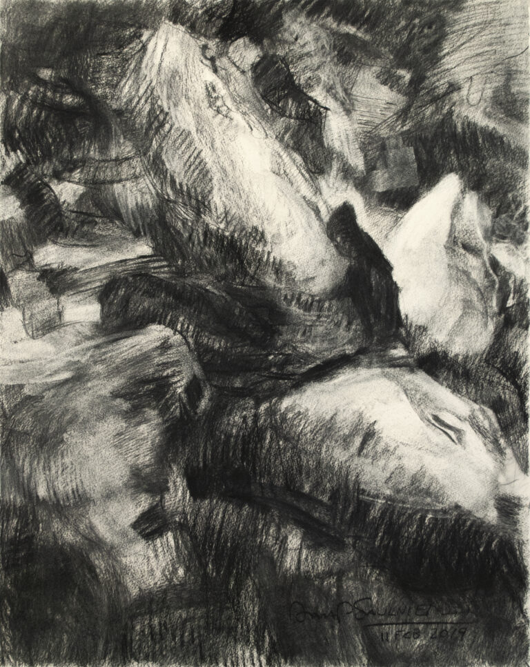 Dana Saulnier, "Drawing (21119)," charcoal on paper