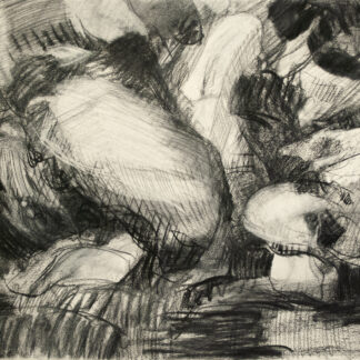 Dana Saulnier, "Drawing (21619)," charcoal on paper