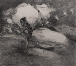 Dana Saulnier, "Drawing (102521)," charcoal