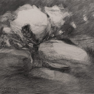 Dana Saulnier, "Drawing (102521)," charcoal