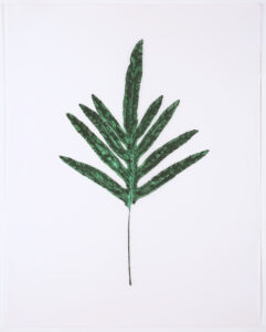 Heather Sandifer, "Deep Teal Phlebotium Fern, Cat. 151," mixed media on vellum paper