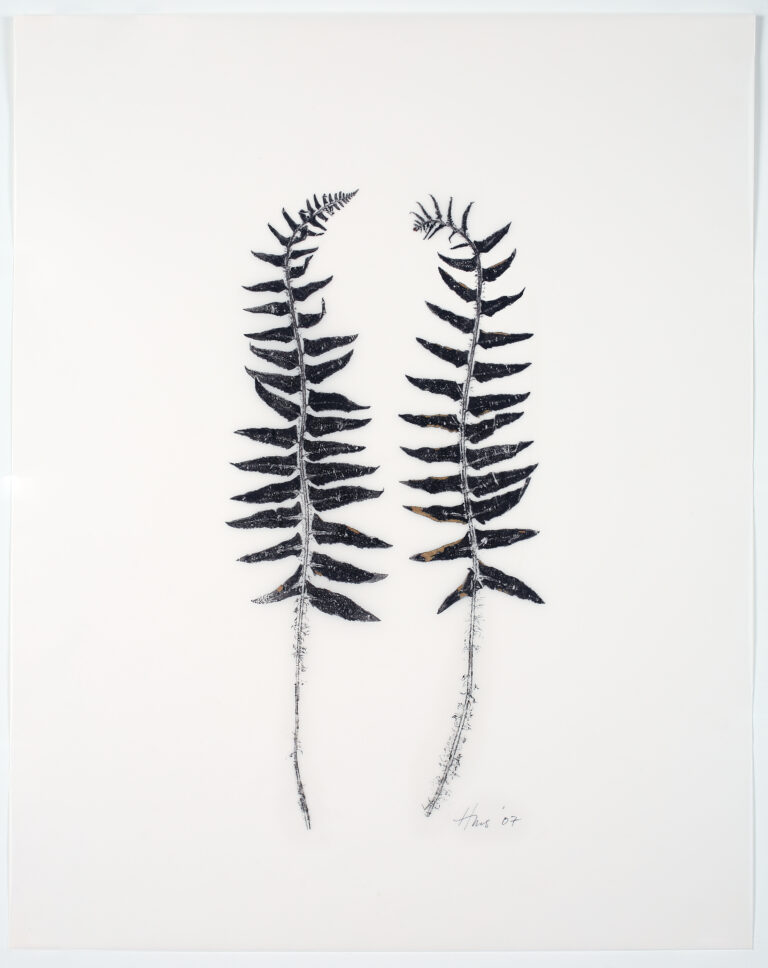 Heather Sandifer, "Exotic Polystichum Fern Pair, Cat. 49," mixed medium on vellum paper