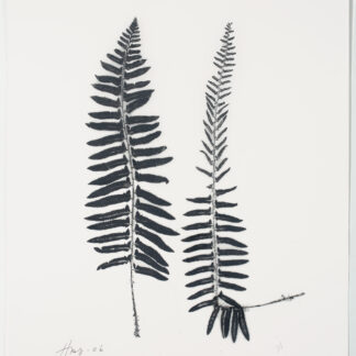 Heather Sandifer, "Polystichum Fern Pair, Cat. 6," mixed media on vellum paper