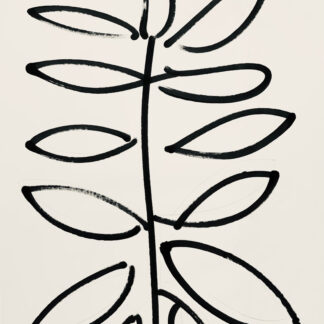 Thomas Libetti, "Sprig Variation 2," paint marker and gesso on paper