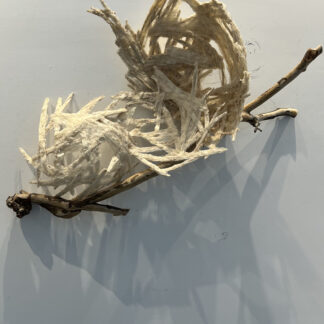 Donna Forma, "Just Gotta Roll With It," planed wood, sycamore branches