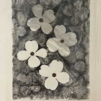 Heather Sandifer, "Marbled Dogwood I," printing ink, carbon pencil, and plant tissue