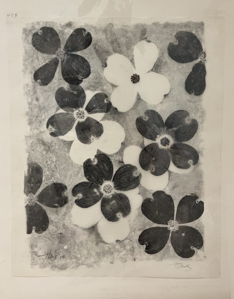 Heather Sandifer, "Marbled Dogwood II," printing ink, carbon pencil, and plant tissue