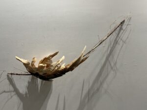 Donna Forma, "Unbound," wood, bamboo, soil