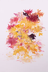 Liz Dexheimer, "Dahlia Flow IX," acrylic and graphite on paper