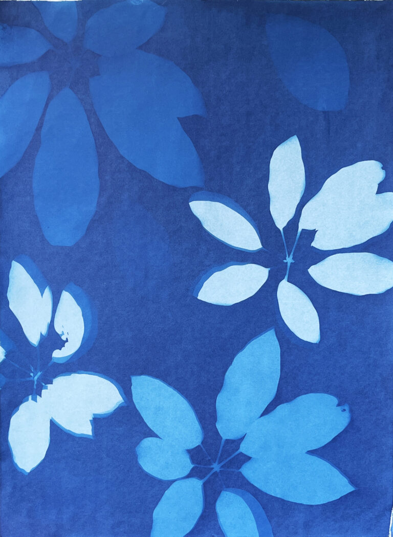 Emily Hamilton Laux, "Lucky Seven Number 1," cyanotype print on archival hot press paper