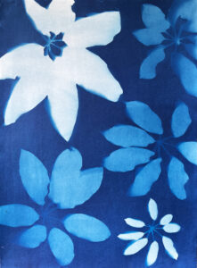 Emily Hamilton Laux, "Lucky Seven Number 3," cyanotype print on archival hot press paper