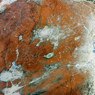 J Henry Fair, "Pollock," chromogenic print