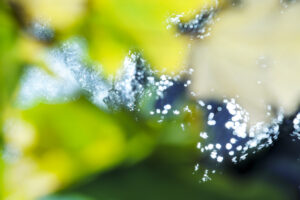 Susan Wides, "Voice of Silence 3050," chromogenic print