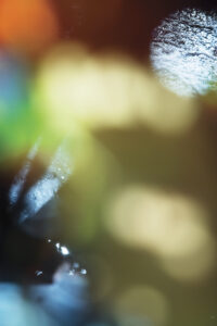 Susan Wides, "Voice of Silence 7880," chromogenic print