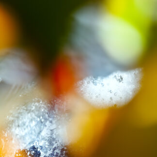 Susan Wides, "Voice of Silence 7931," chromogenic print