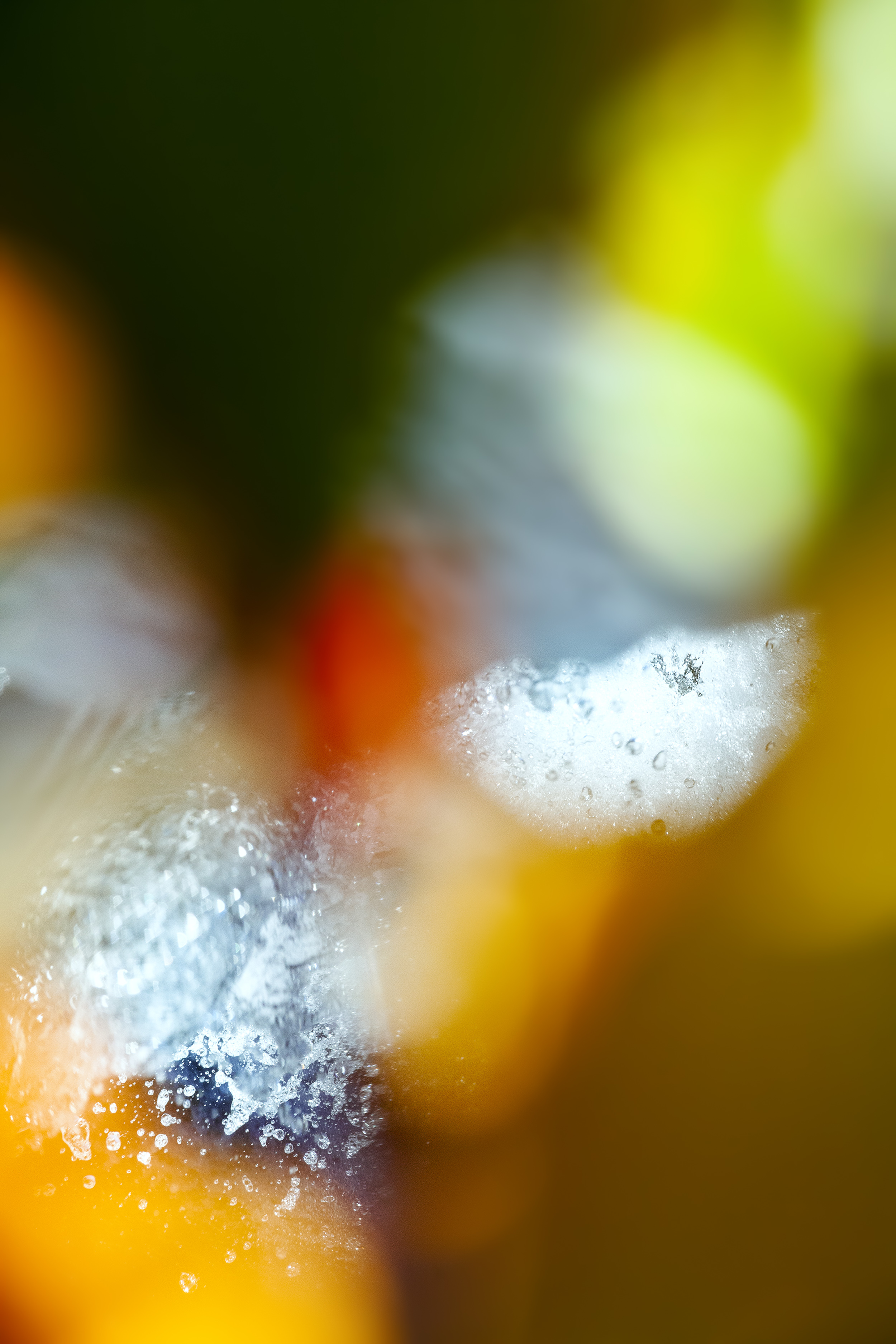 Susan Wides. 30x45 �6000 and 40x60 in.�7500. Voice of Silence 7931, 2024. Chromogenic Print Susan Wides, "Voice of Silence 7931," chromogenic print