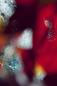 Susan Wides, "Voice of Silence 9730," chromogenic print