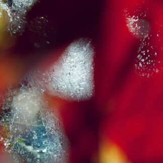 Susan Wides, "Voice of Silence 9730," chromogenic print