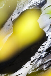 Susan Wides, "This Seasons 9.20.15," chromogenic print