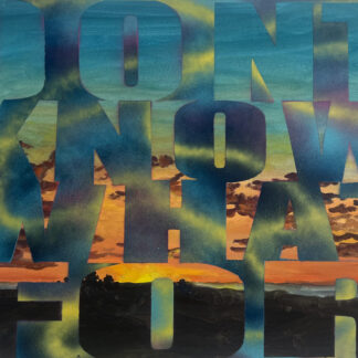 Joe Wardwell, "Don't Know What For," oil on paper