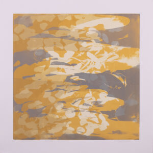 Liz Dexheimer, "What Lies Beneath Ochre Sunlight," monotype